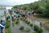 Penanaman Pohon Magrove Di Pulau Pasaran. Foto : Dinas Kehutanan Lampung