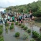 Penanaman Pohon Magrove Di Pulau Pasaran. Foto : Dinas Kehutanan Lampung
