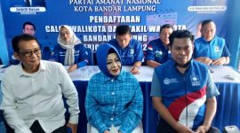 Mantan Kepala Dinas Kesehatan Lampung Reihana. Dok : berandalappung.com