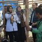 Kepala Dinas Peternakan dan Kesehatan Hewan Lampung, Lili Mawarti mengawasi kesehatan hewan qurban. Foto : Wildanhanafi/berandalappung.com