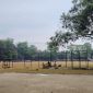 Kondisi lapangan Fasilitas Lapangan Unila. Foto : berandalappung. com