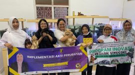 Layanan SIKUCING kini dapat diakses dengan lebih mudah oleh masyarakat di Provinsi Lampung melalui pendaftaran daring. Foto : Ist