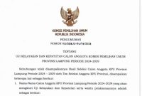 Tangkap layar uji kelayakan dan kepatutan calon anggota KPU Lampung periode 2024-2029 oleh KPU RI