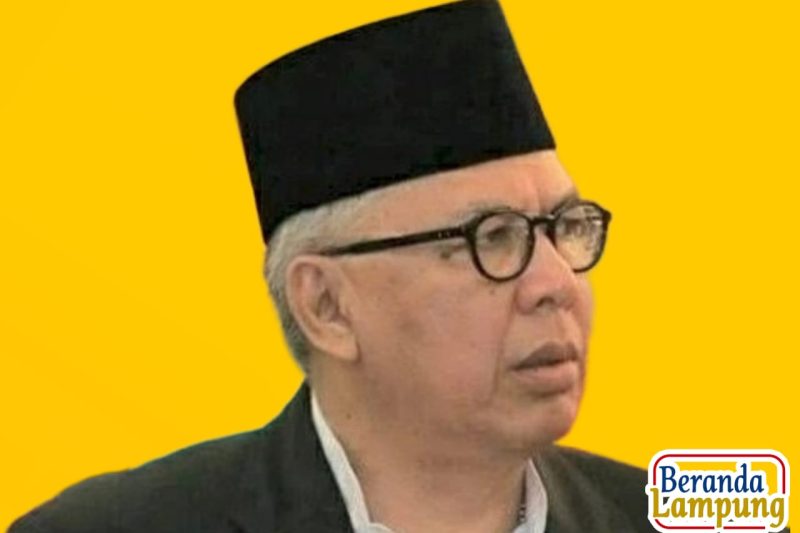 Ketua Umum Lembaga Pemantau Pembangunan Lampung (LPPL), M. Alzier Dianis Thabranie. Ilustrasi/Wildan hanafi/berandalappung.com