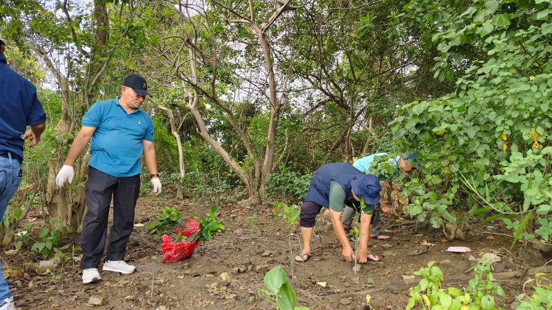 Almuhery Ali Faksi, salah satu alumni Fakultas Pertanian Unila, menjelaskan bahwa mangrove memiliki peran besar dalam melindungi lingkungan dan keberlanjutan ekonomi masyarakat sekitar.
