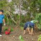 Almuhery Ali Faksi, salah satu alumni Fakultas Pertanian Unila, menjelaskan bahwa mangrove memiliki peran besar dalam melindungi lingkungan dan keberlanjutan ekonomi masyarakat sekitar.
