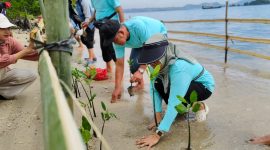 Ketua Umum Ikaperta Unila disaat menanam pohon mangrove di pesisir pantai Lempasing Pesawaran. Foto: Wildanhanafi/berandalappung.com