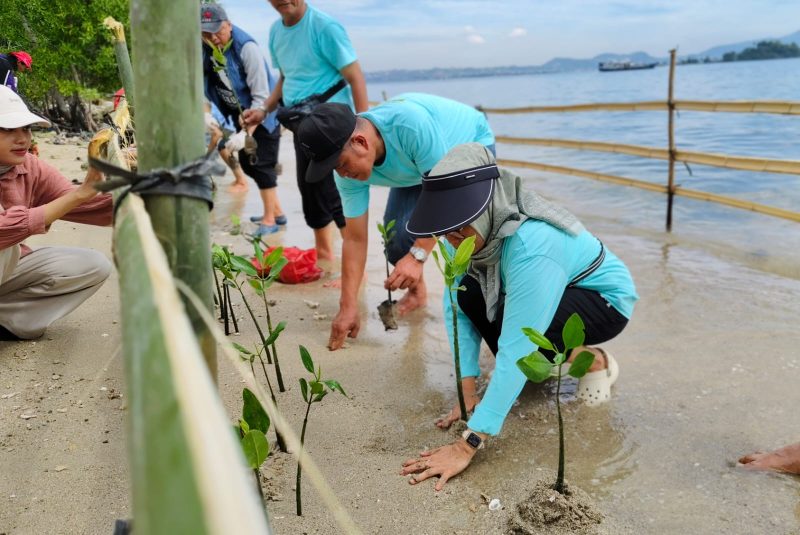 Ketua Umum Ikaperta Unila disaat menanam pohon mangrove di pesisir pantai Lempasing Pesawaran. Foto: Wildanhanafi/berandalappung.com