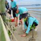 Ketua Umum Ikaperta Unila disaat menanam pohon mangrove di pesisir pantai Lempasing Pesawaran. Foto: Wildanhanafi/berandalappung.com