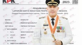 Dendi Ramadhona hampir rampung akan menyelesaikan dua periode kepemimpinannya sebagai Bupati Kabupaten Pesawaran. Foto: Ist