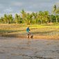 Disaat Petani sedang melakukan pembibitan untuk penanan padi disawah. Foto: Wildanhanafi/berandalappung.com
