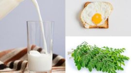 Daun Kelor dan Telur Ayam Jadi Pengganti Susu di Program Makan Bergizi Gratis. Dok: Ist