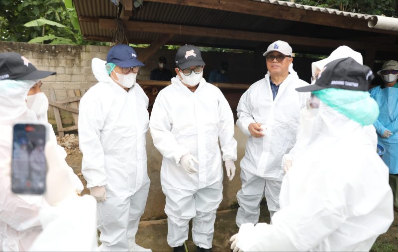 PJ gubernur Lampung Samsudin tinjau vaksinasi sapi di Lampung Tengah. 