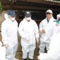 PJ gubernur Lampung Samsudin tinjau vaksinasi sapi di Lampung Tengah. 