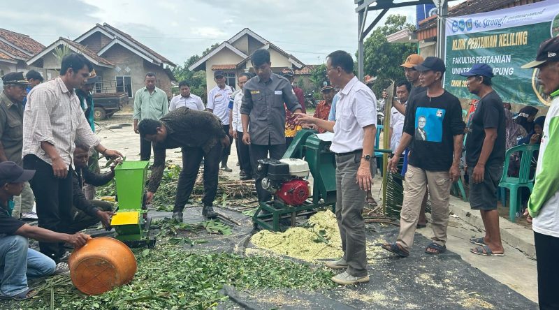 Proses pembuatan dari limbah pertanian, menjadi pakan ternak bernutrisi. Dok: Ist
