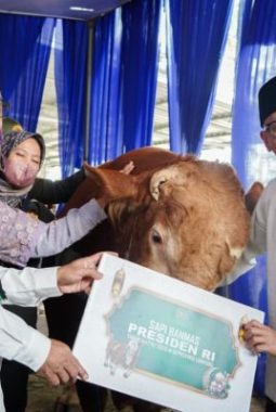 Momentum Idul Adha, Pemprov Lampung Dorong Kepedulian dan Kesejahteraan Masyarakat