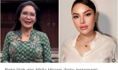 Persoalan Bukti Tangkapan Layar Kasus Nikita Mirzani di Mata Politikus DPR